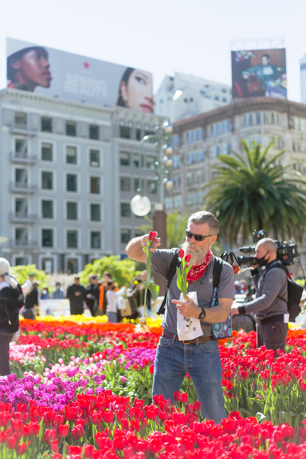 80,000 Tulips to Illuminate San Francisco's Union Square on American